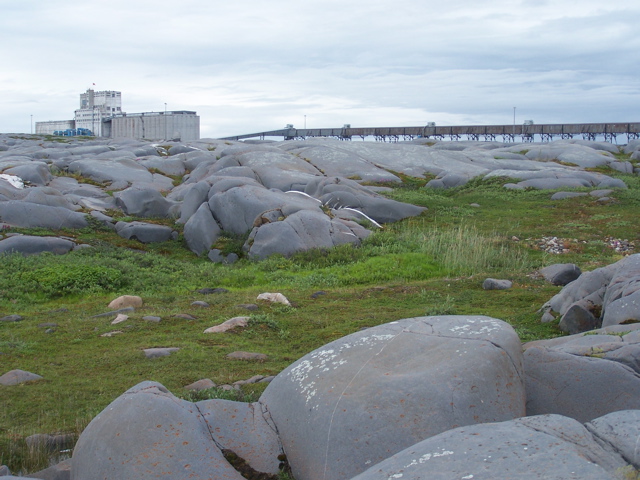 The grain elevator from Cape Merry