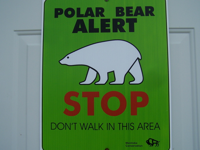 Be bear aware!!!