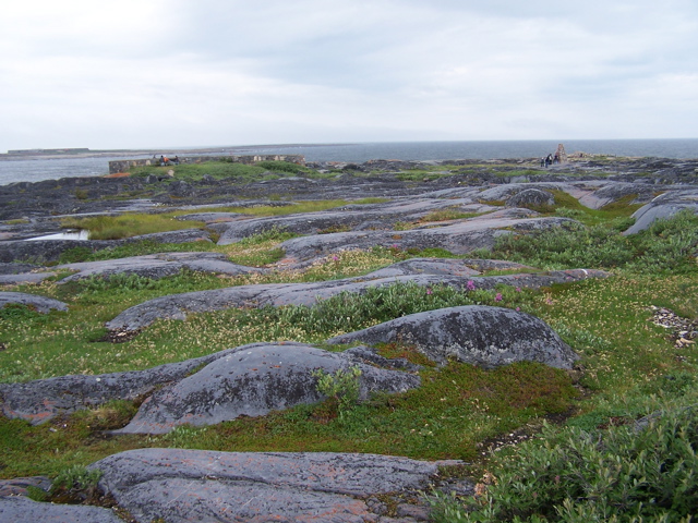 Cape Merry near town