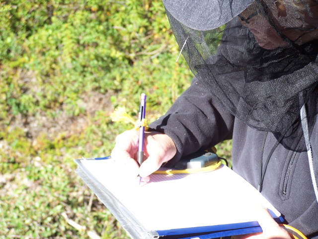 taking data on tree cores