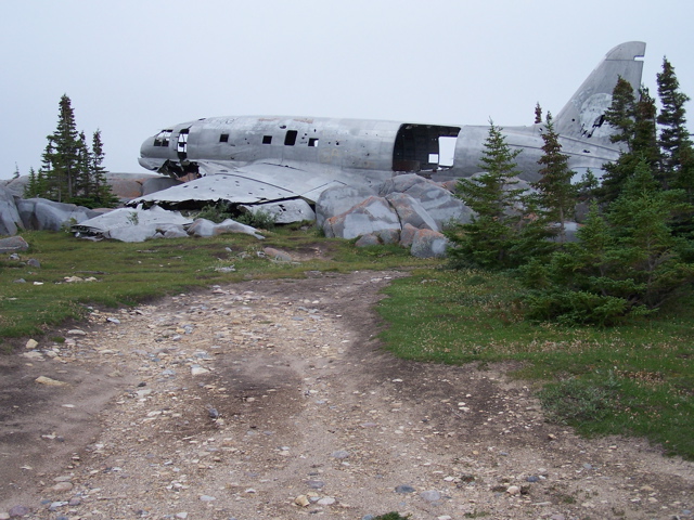 Miss Piggy,an old downed plane