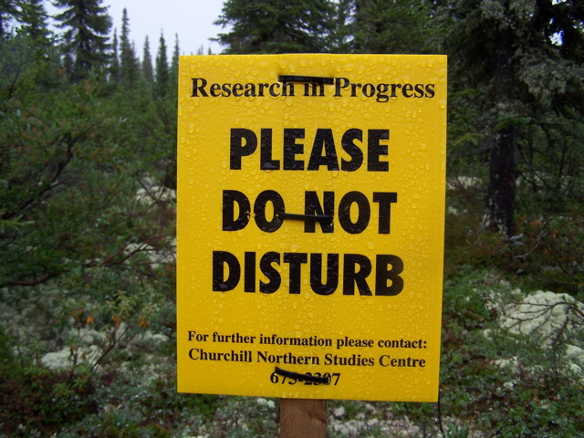 These signs are often seen in the tundra and boreal forest areas around the area.