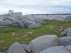 The grain elevator from Cape Merry