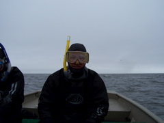 I went snorkeling with belugas.