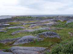 Cape Merry near town