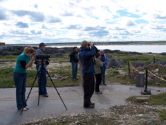 looking at birds and whales from Cape Merry