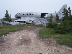 Miss Piggy,an old downed plane